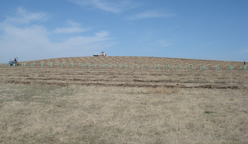 The plot of prairie where Old Folsom Vineyard now grows.